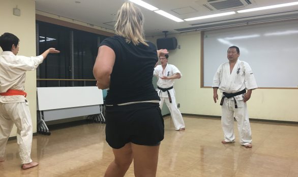 Kyokushinkai Karate
